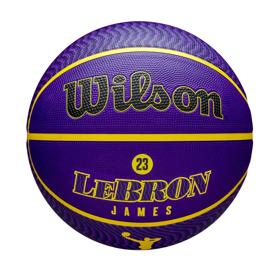 NBA Player Icon Outdoor - Lebron James