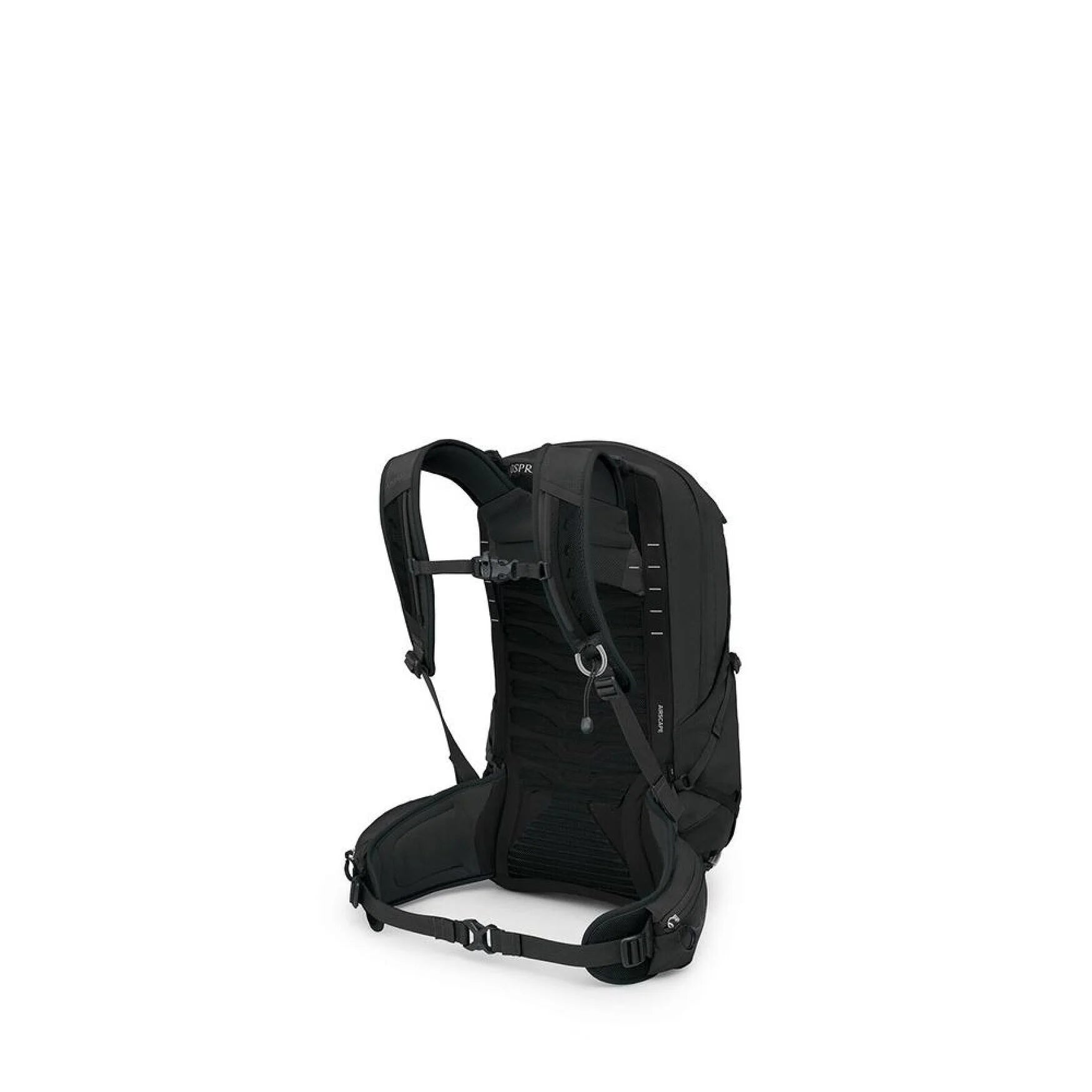 Talon 22